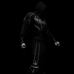 Breathedivinity Void Tech™ Hollow Knight Hoodie Compression ORIGINAL 3.webp